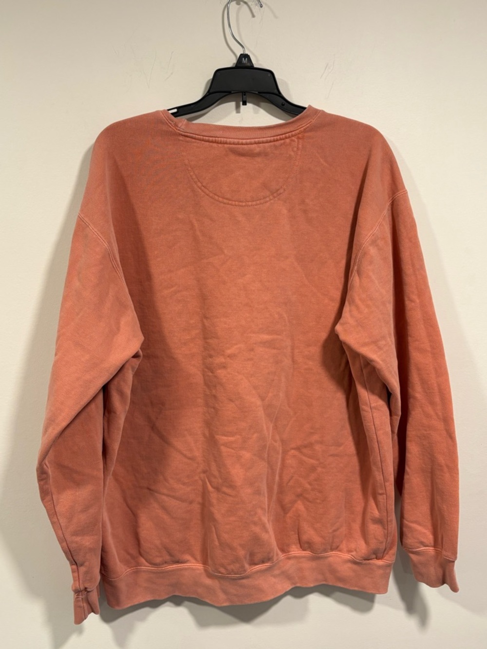 Comfort Colors Coral Graphic Crewneck Sweatshirt - Picture 2 of 4